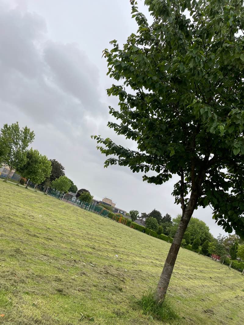 walking near me in Gladstone Gardens in summer
