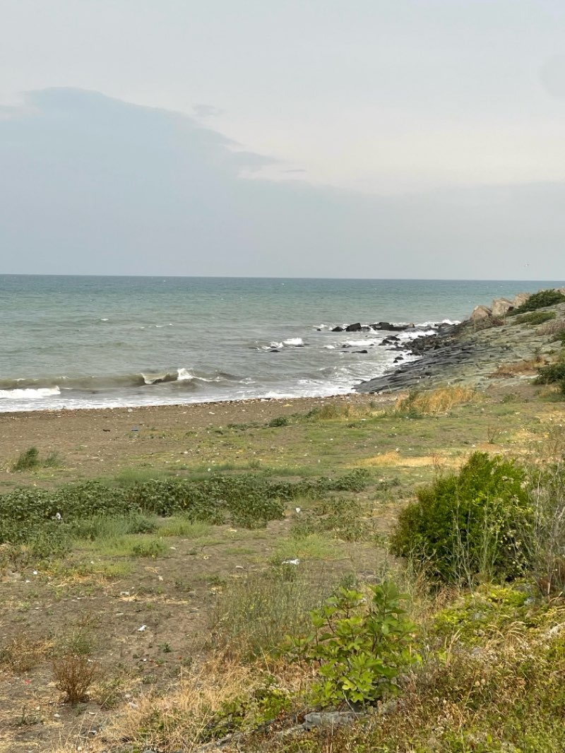 walking near me in EYOF 2011 Memorial Park in autumn