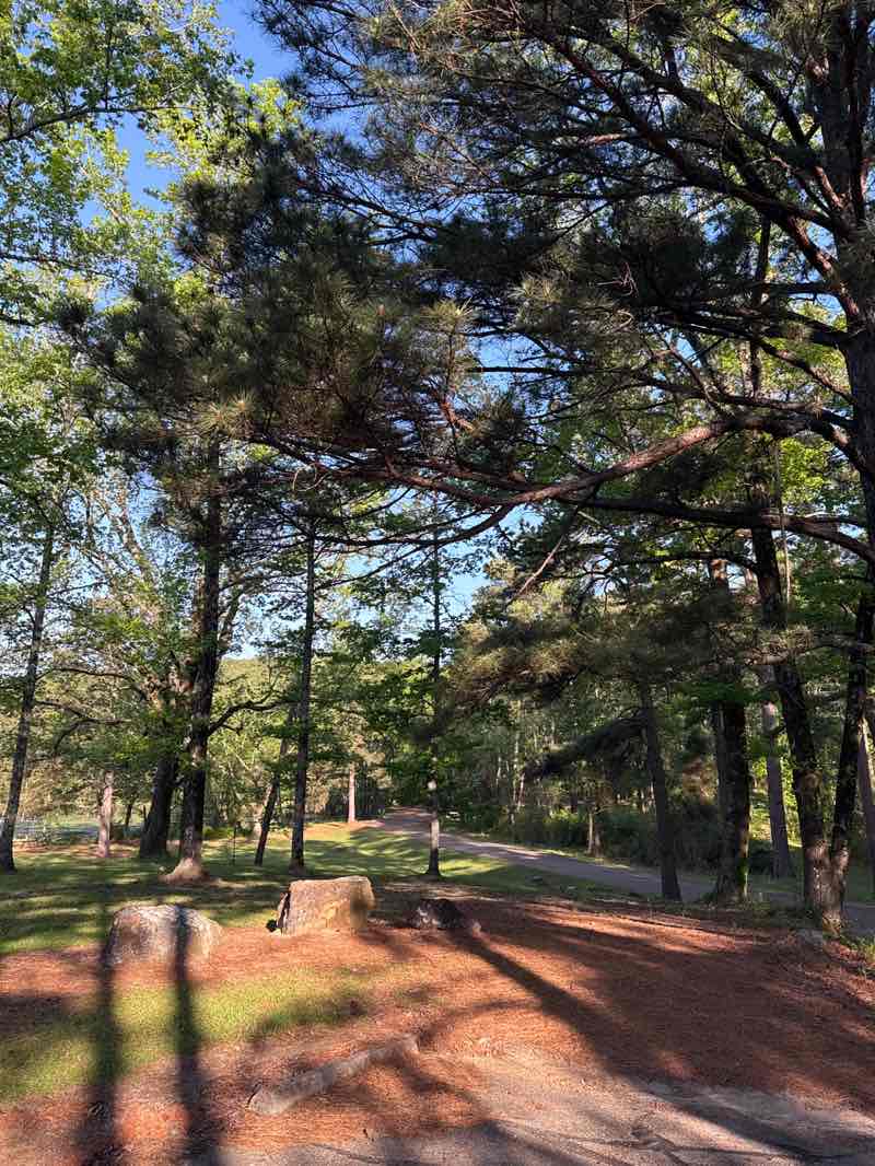 walking near me in Daingerfield State Park in spring
