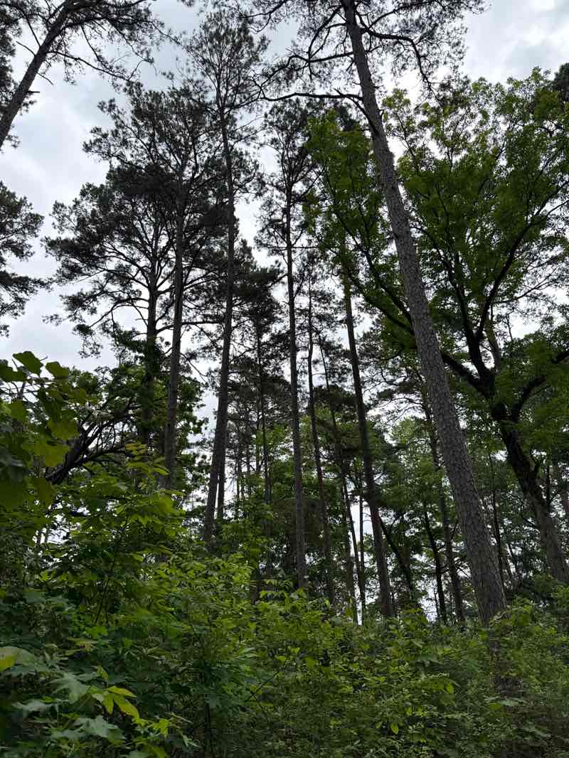 walking near me in Atlanta State Park in spring