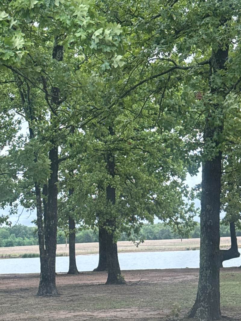 walking near me in Fort Sherman Damn Recreational Area in spring