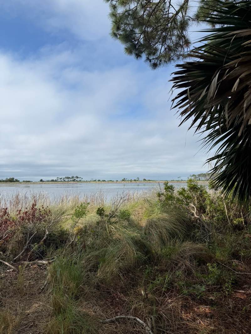 walking near me in Saint Marks National Wildlife Refuge in spring