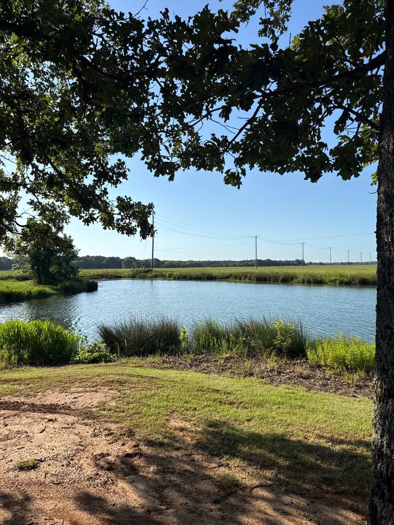 walking near me in Fort Sherman Damn Recreational Area in summer