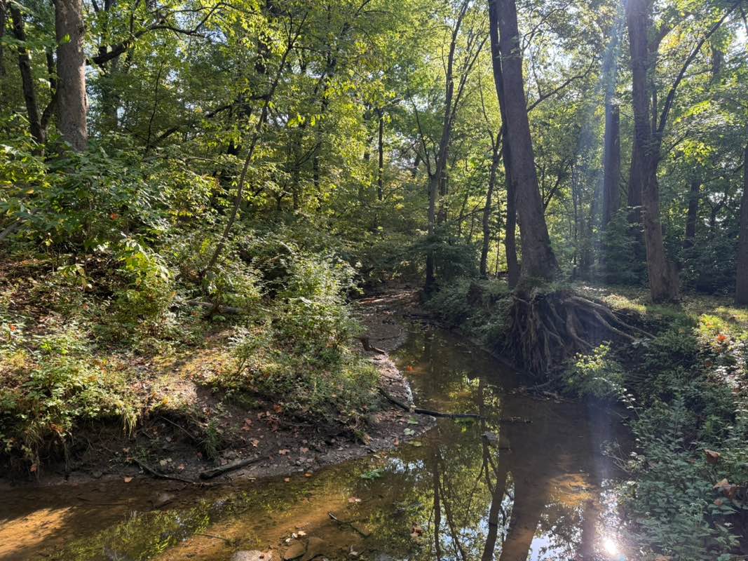 walking near me in Hobby Hill Park in autumn