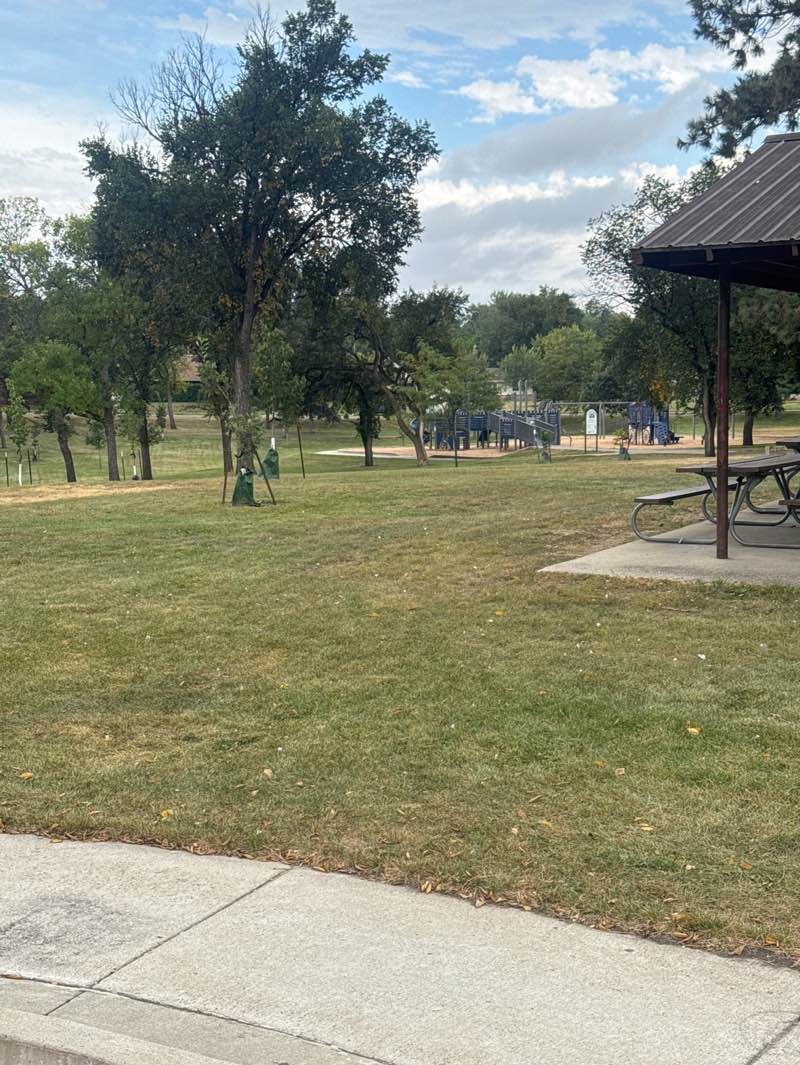 walking near me in Lions Park in autumn