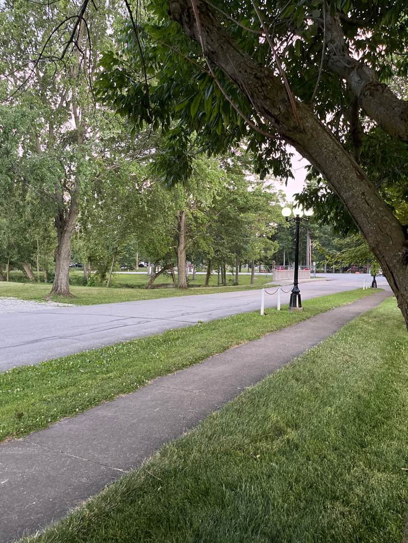 walking near me in Meadowbrook Park in summer