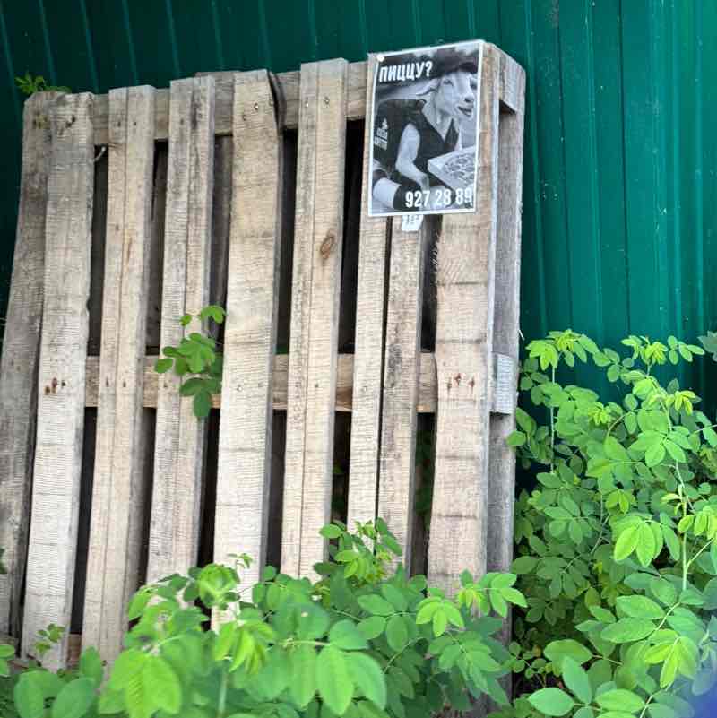 короли асфальта рикэ post image