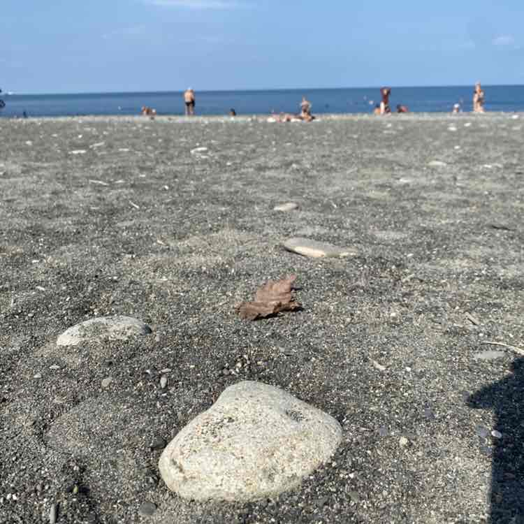 Ягодкин Денис post 1