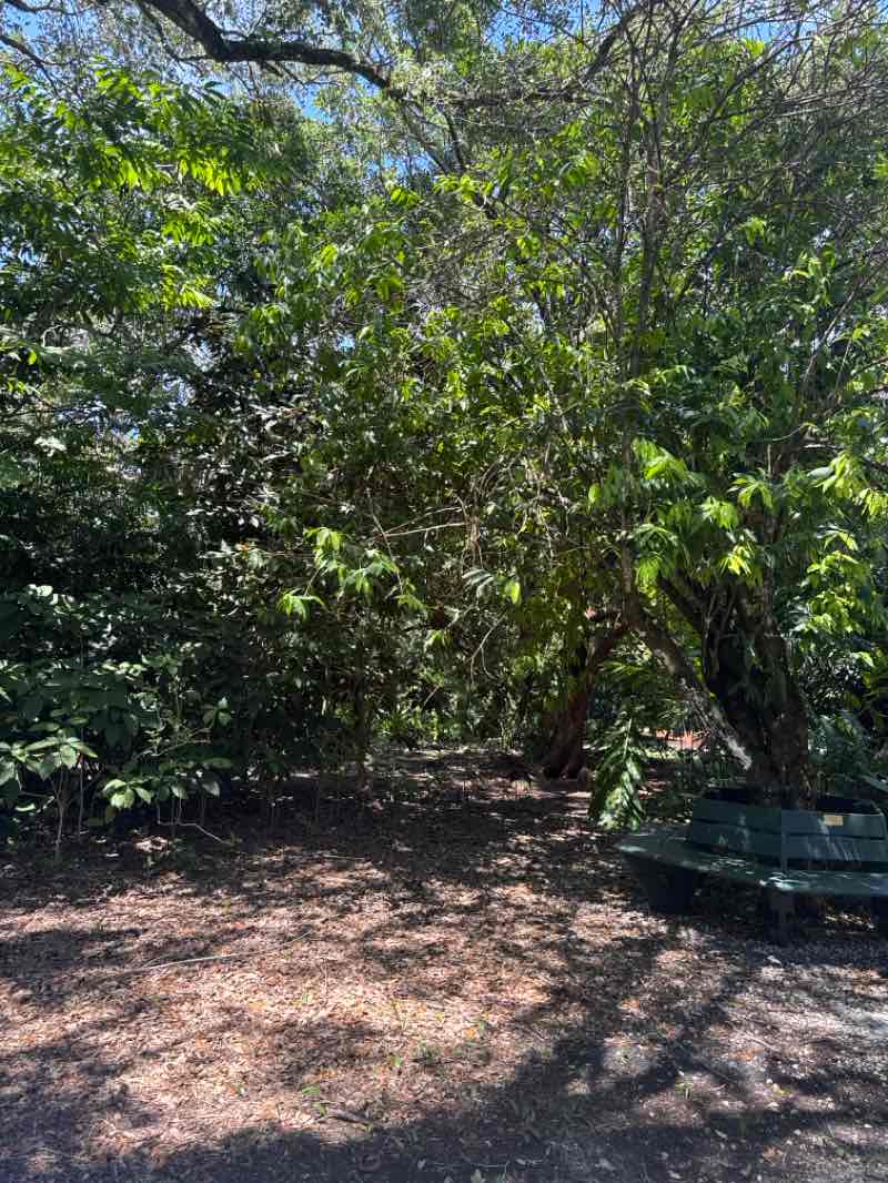 walking near me in Flamingo Gardens in autumn
