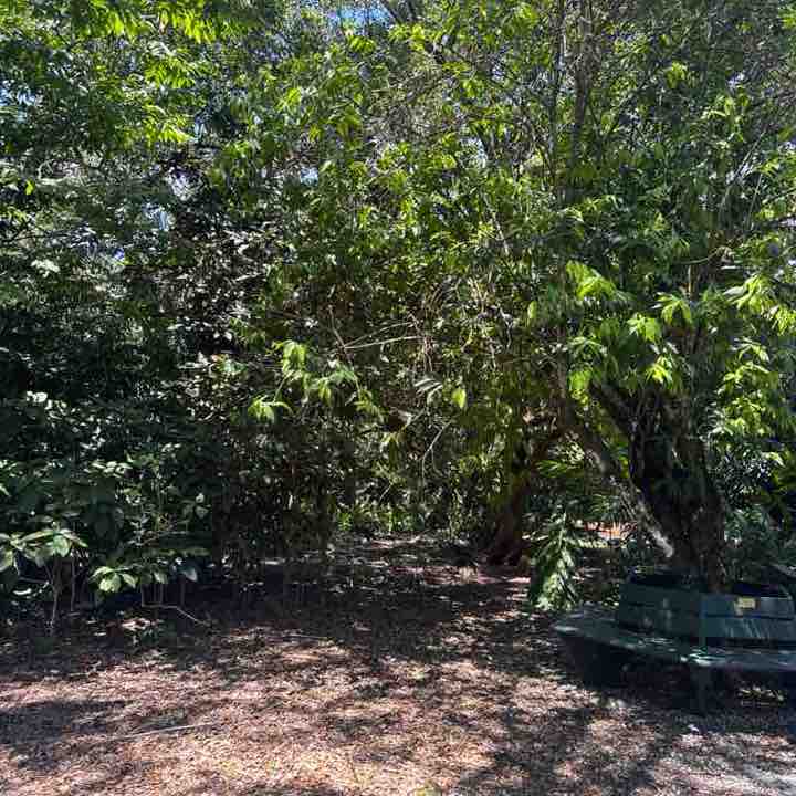 💕Get Well Soon Warriors 🏃🏽 Joanne post image