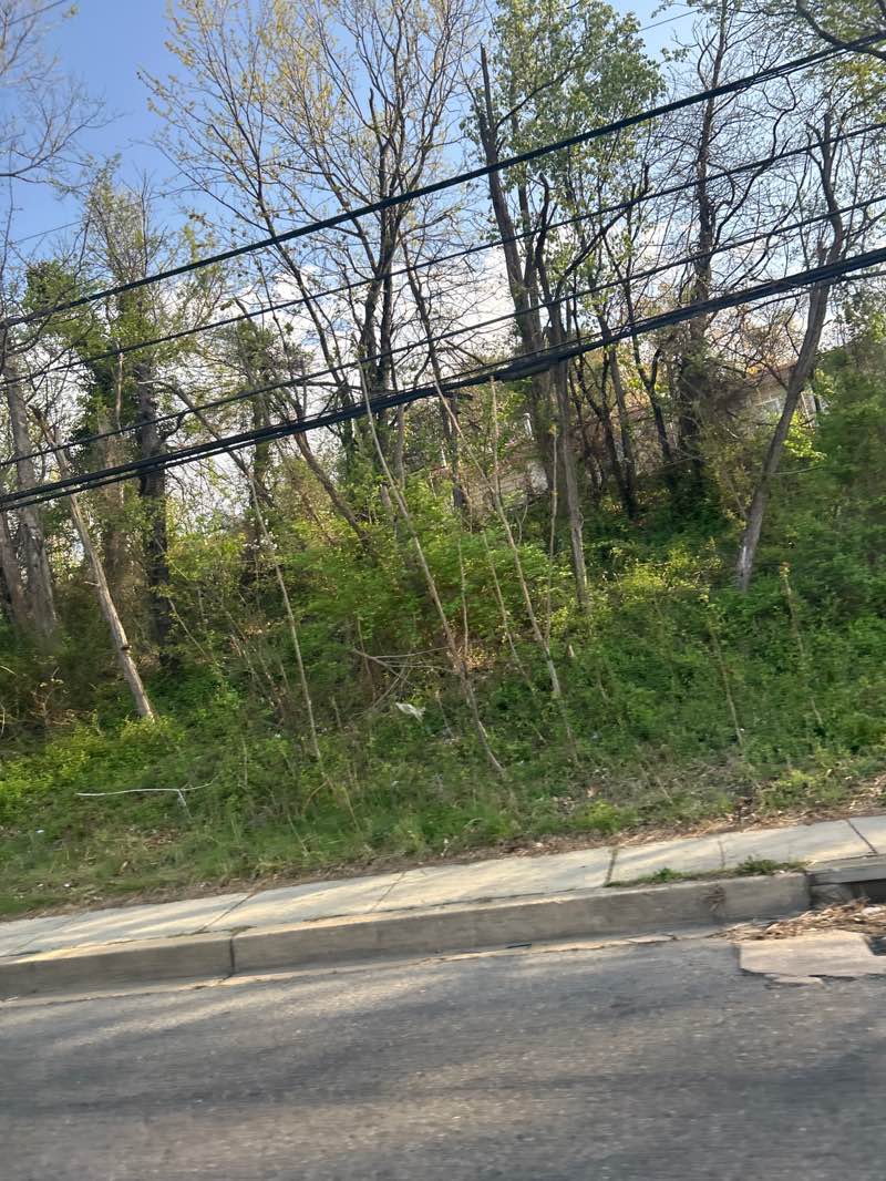 walking near me in Chillum Park in spring
