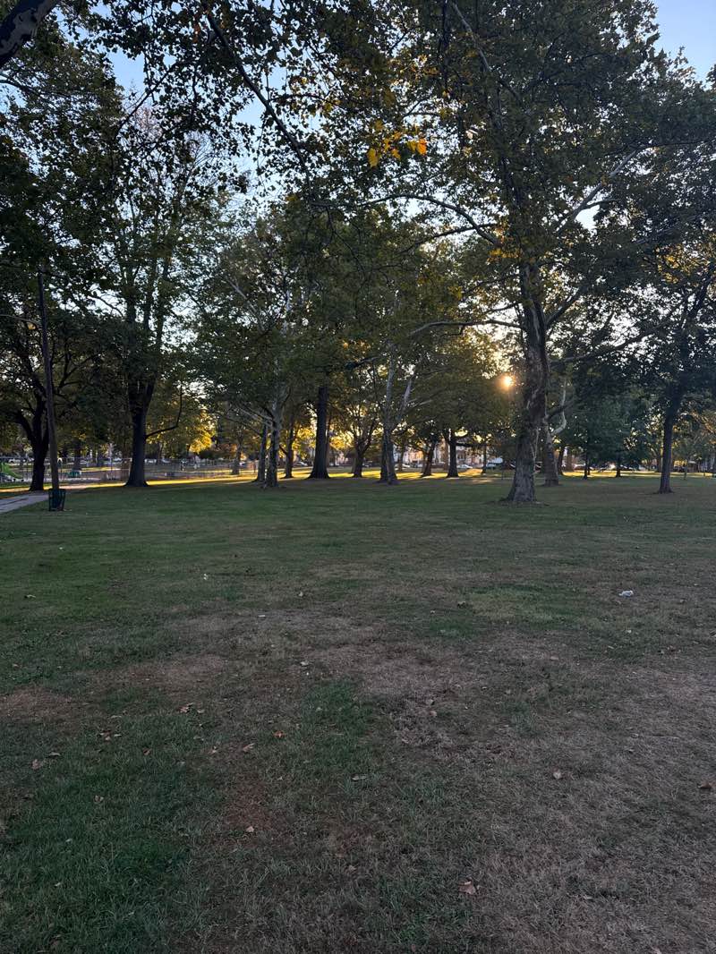 walking near me in Kellogg Park in autumn