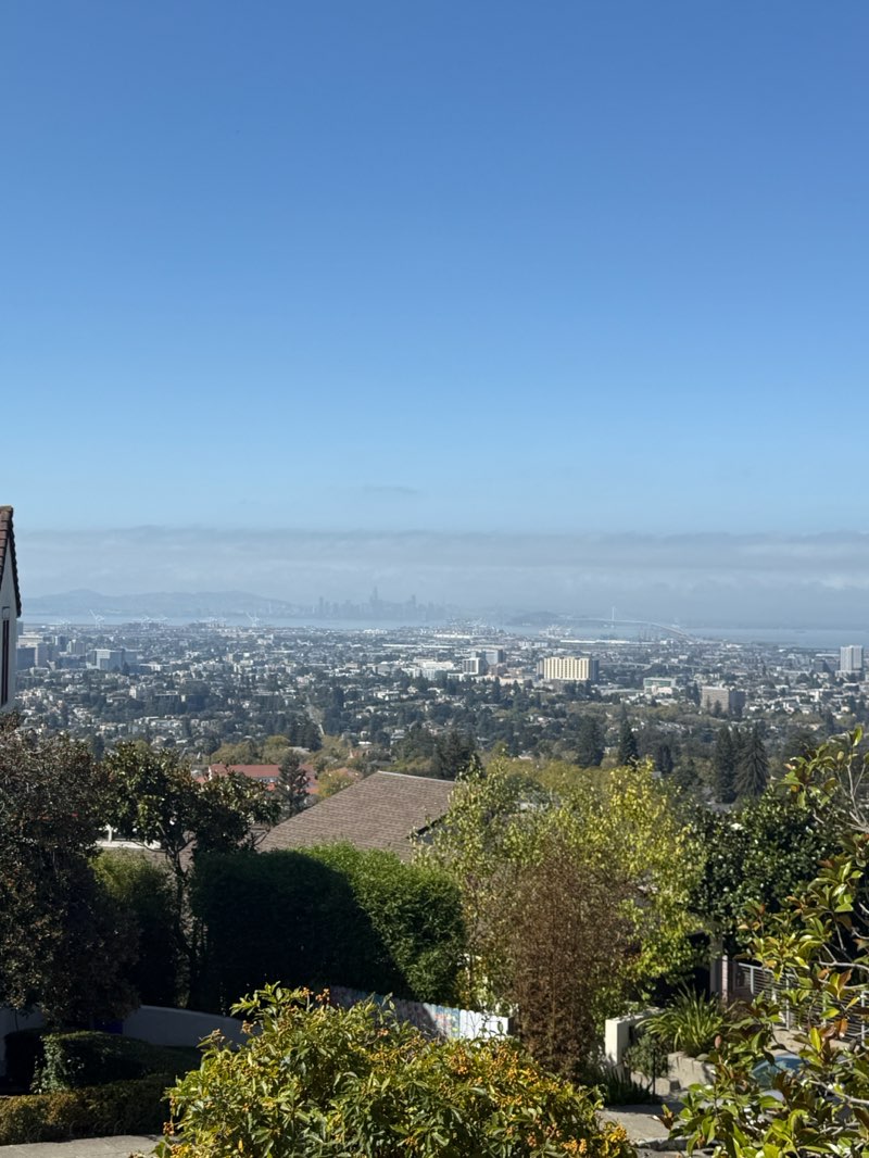 walking near me in Piedmont Park in autumn