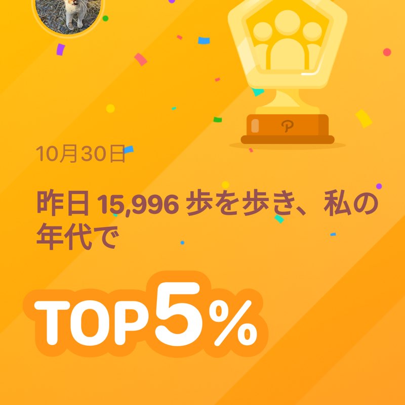 ポッキー二 post 1