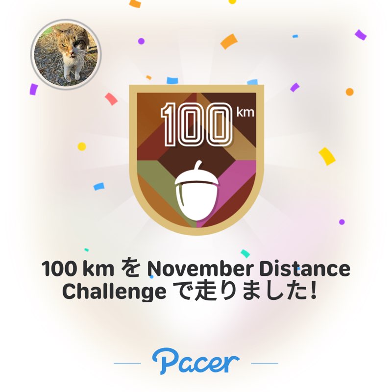 ポッキー二 post 1