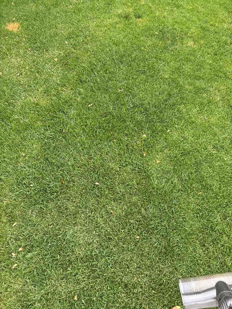 walking near me in Ewart Brothers Reserve in summer