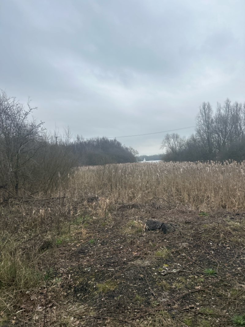 walking near me in Pennington Flash in spring