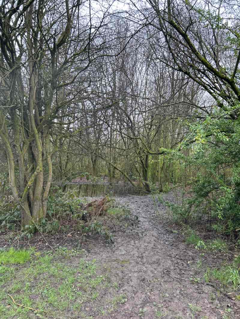 walking near me in Braithwaite Park in spring