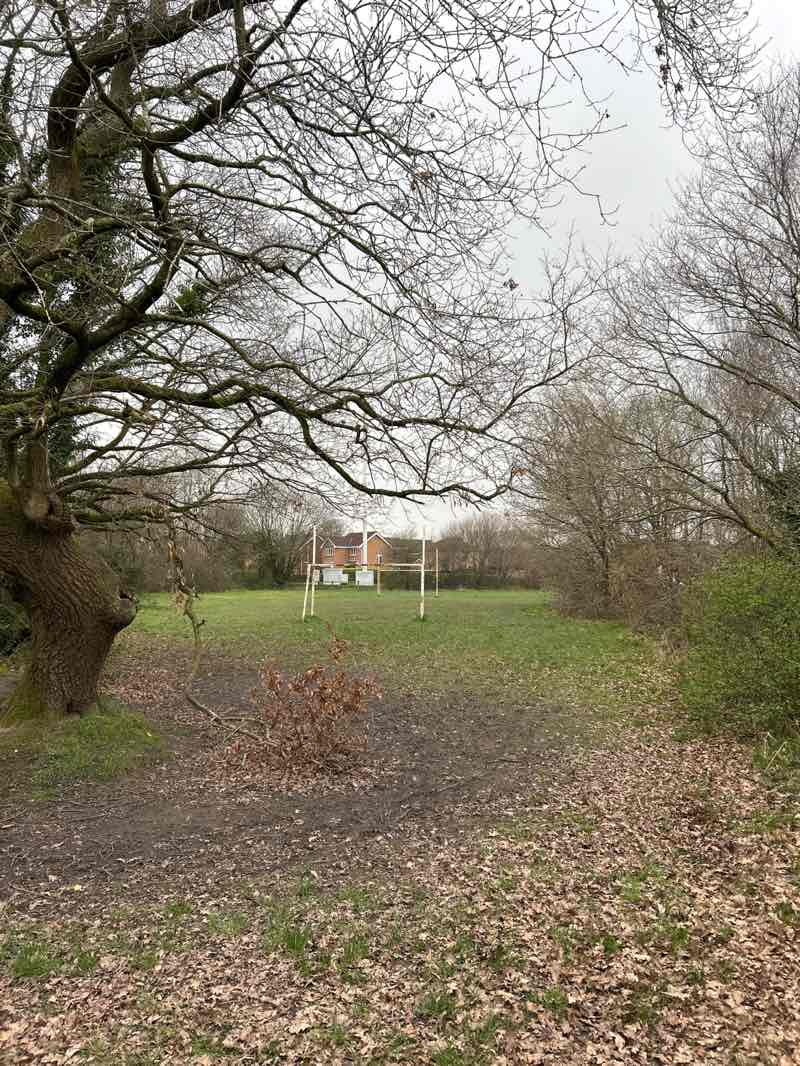 walking near me in Braithwaite Park in spring
