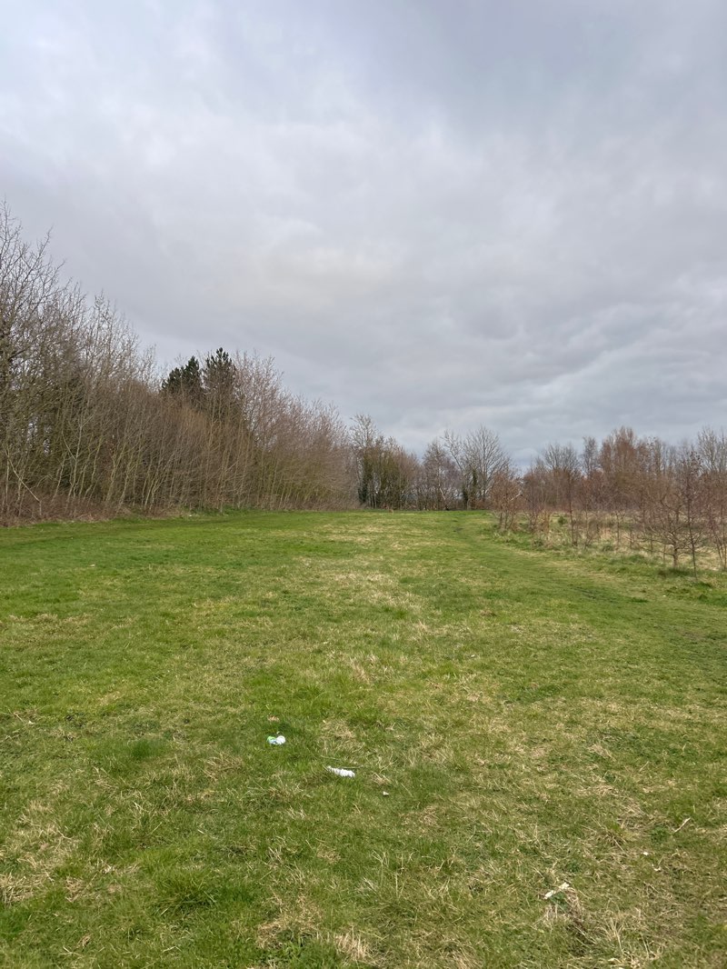 walking near me in Golborne Park (The Bonk) in spring