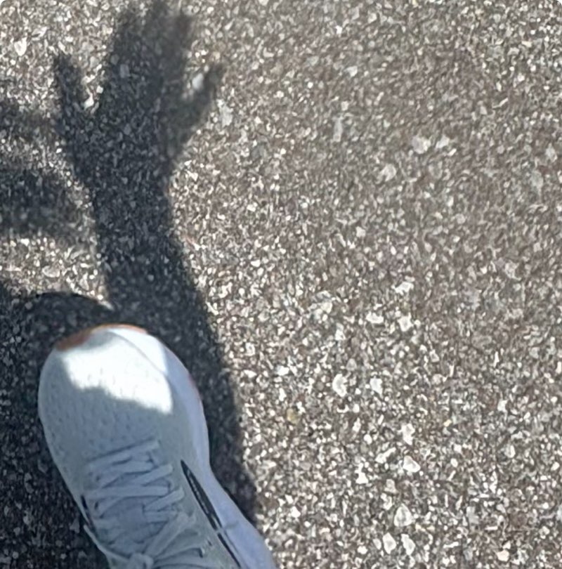 ✨💚PacerChic💚✨💁🏼‍♀️ profile