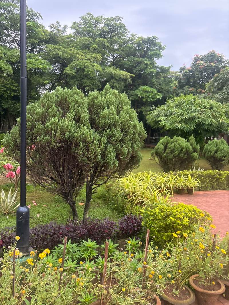 walking near me in MSD Park in autumn