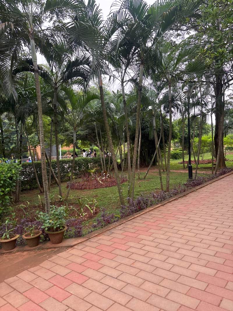 walking near me in Madhusudan Das Park in autumn