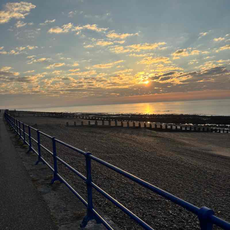 Risky Striders Andrea post image