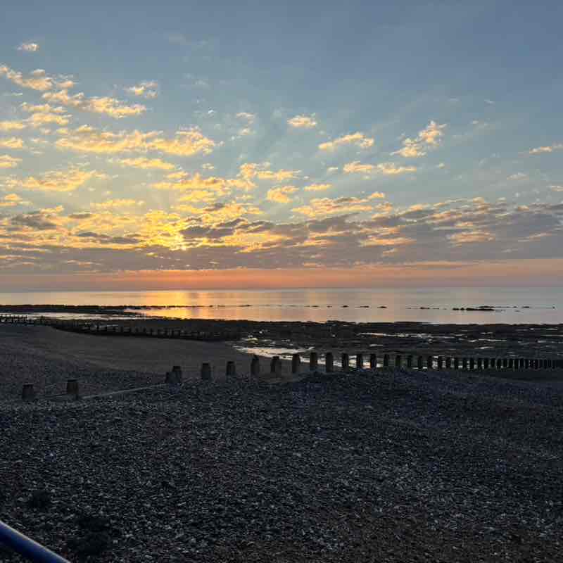 Risky Striders Andrea post image