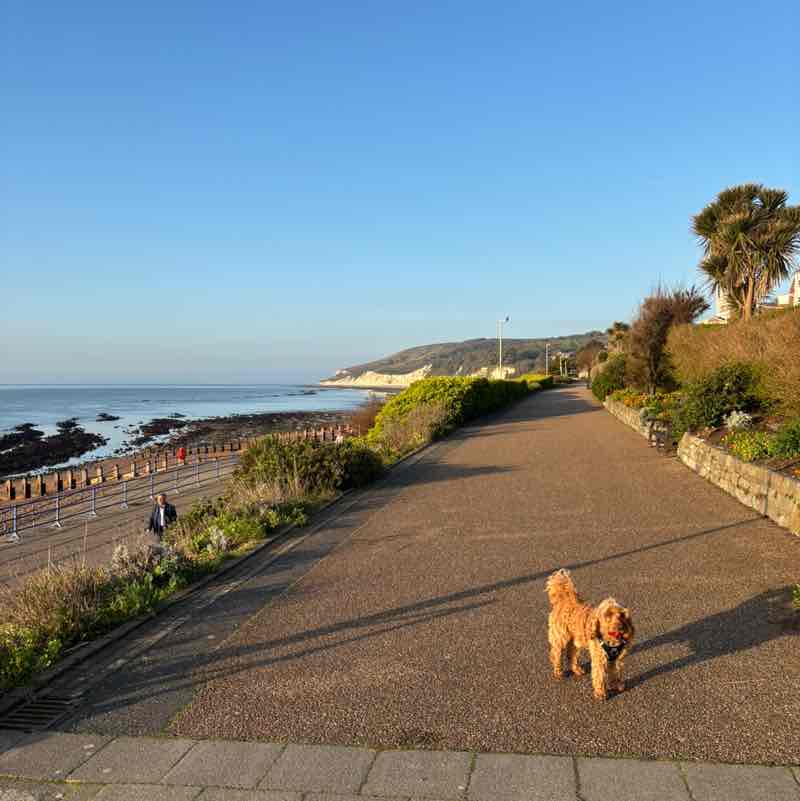 Risky Striders Andrea post image