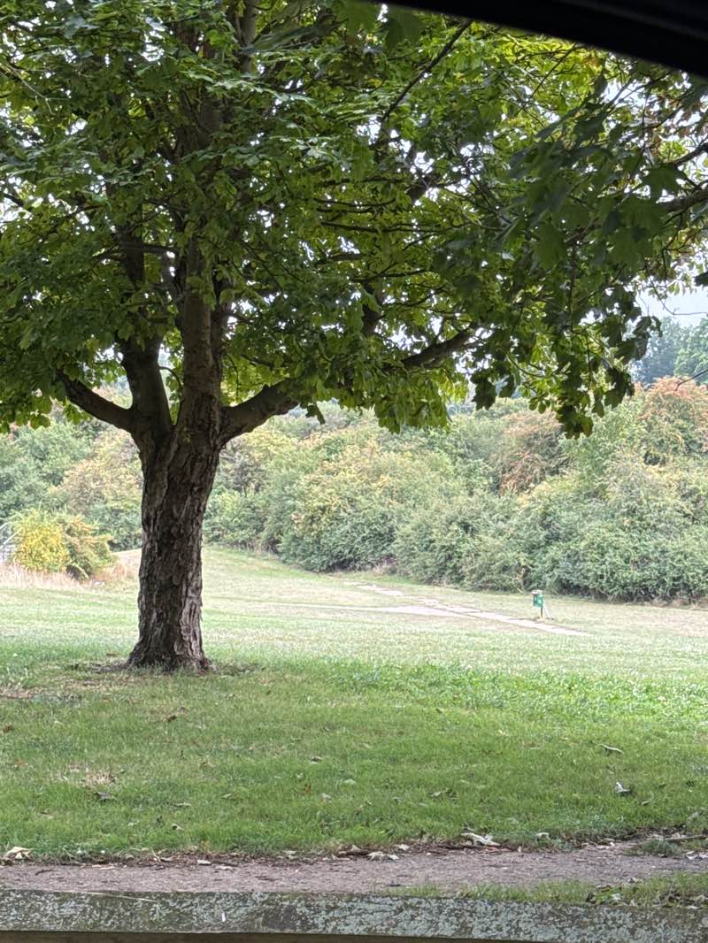 walking near me in The Quarry in autumn