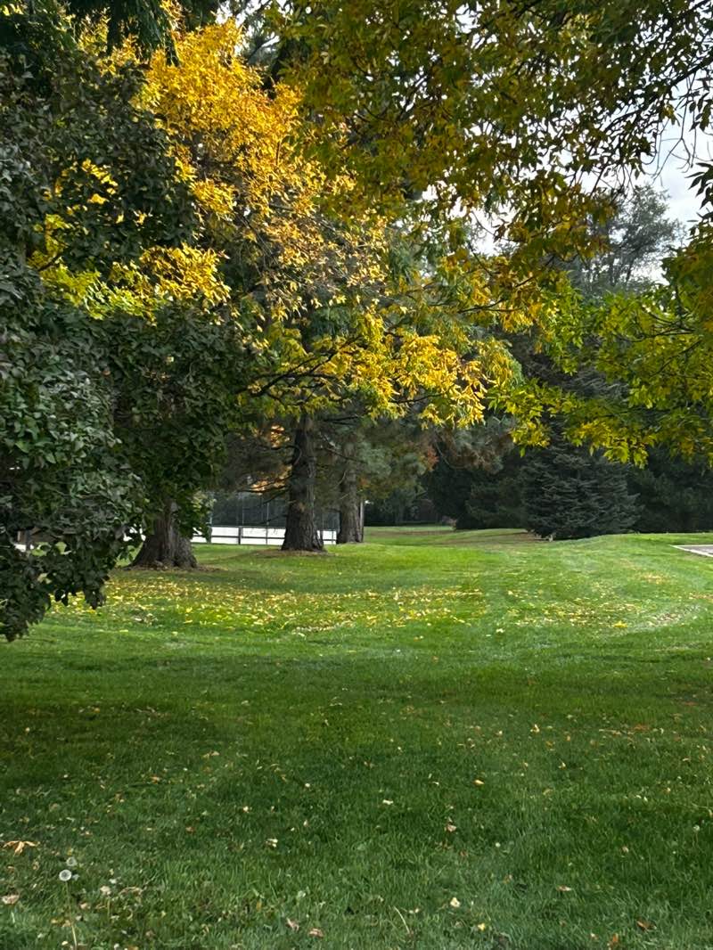 walking near me in Charles Whitlock Recreation Park in autumn