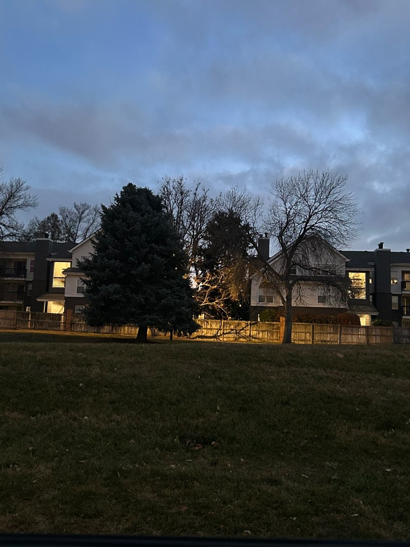 walking near me in Packy Romans Park in autumn