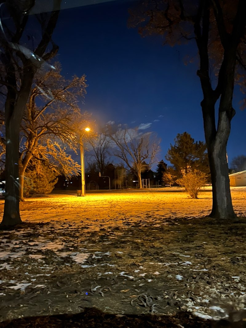 walking near me in Jason Park in winter