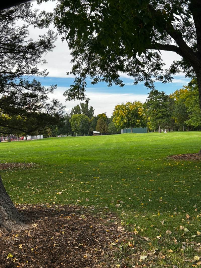 walking near me in Beattie Park in autumn