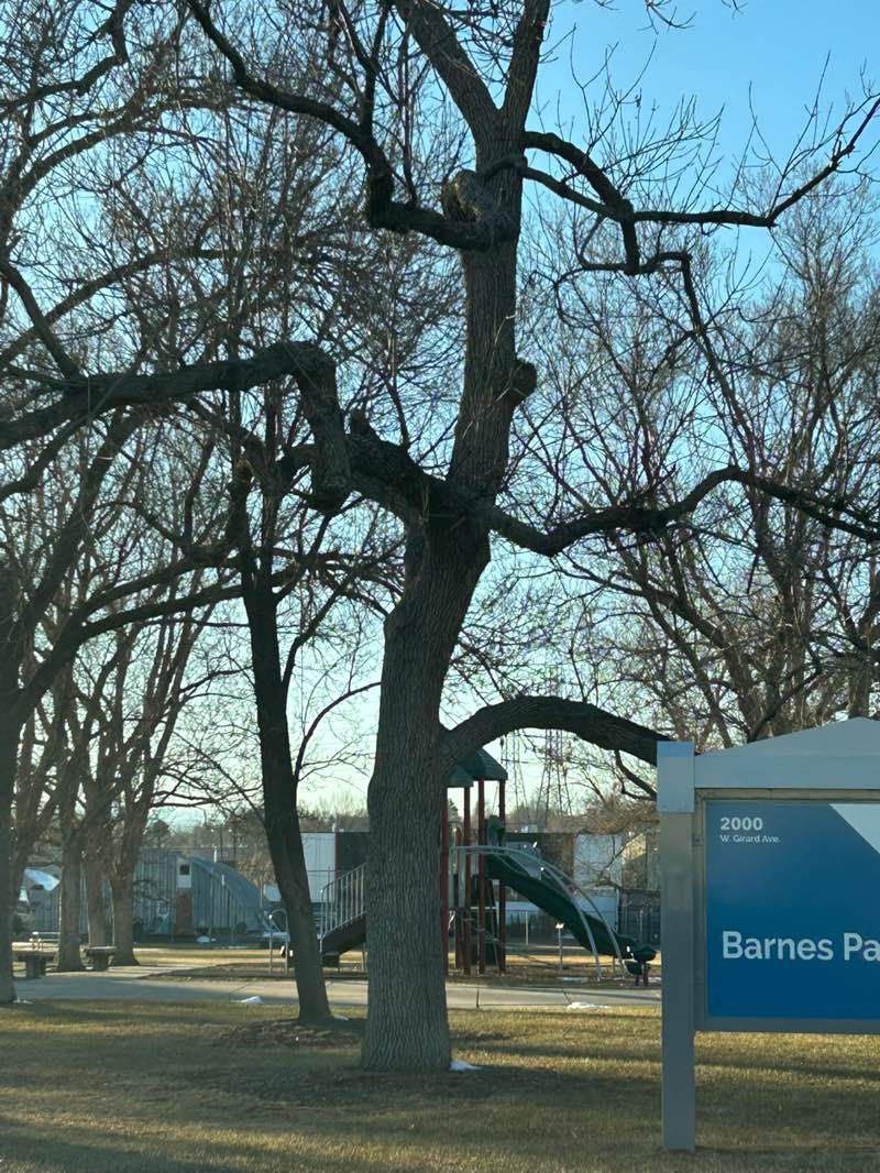 walking near me in Barnes Park in winter