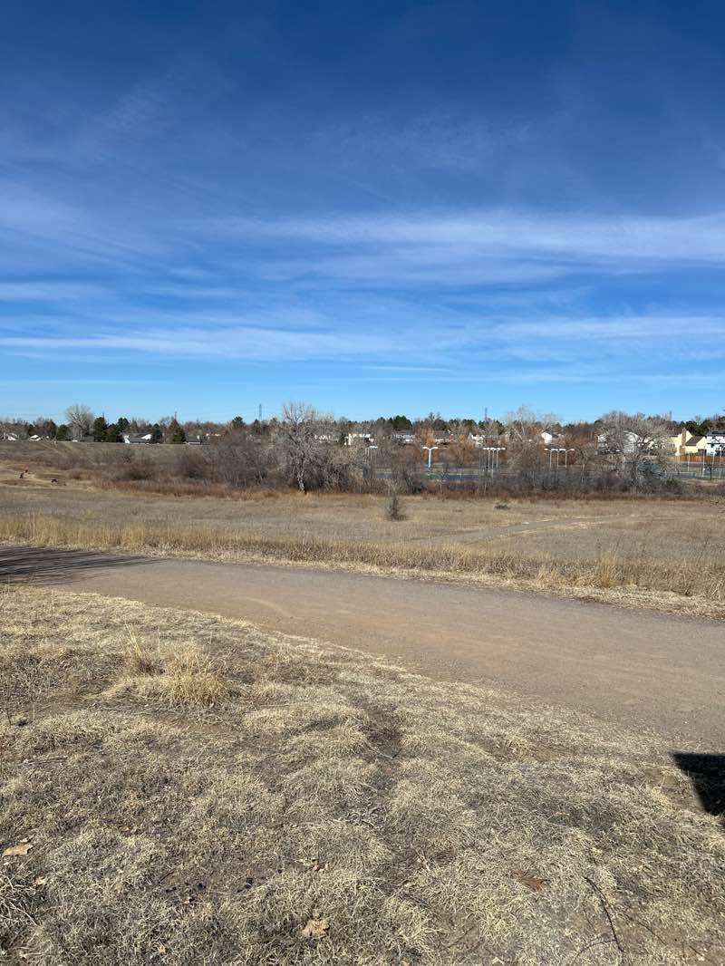 walking near me in Holly Park in winter