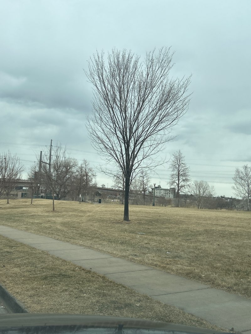 walking near me in City of Cuernavaca Park in winter
