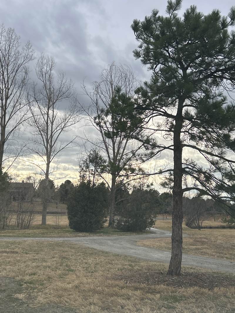 walking near me in John Meade Park in spring
