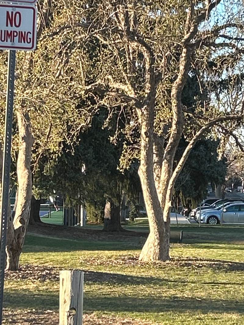 walking near me in Panorama Park in spring