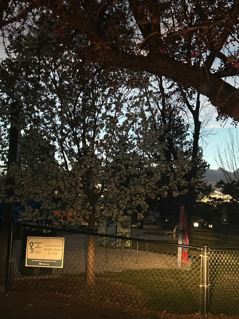 walking near me in Jason Park in spring