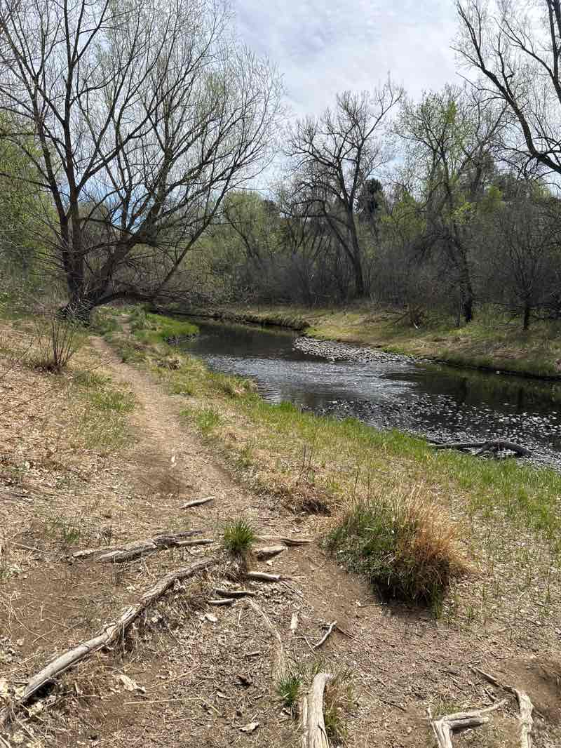 walking near me in Albert E Anderson Park in spring