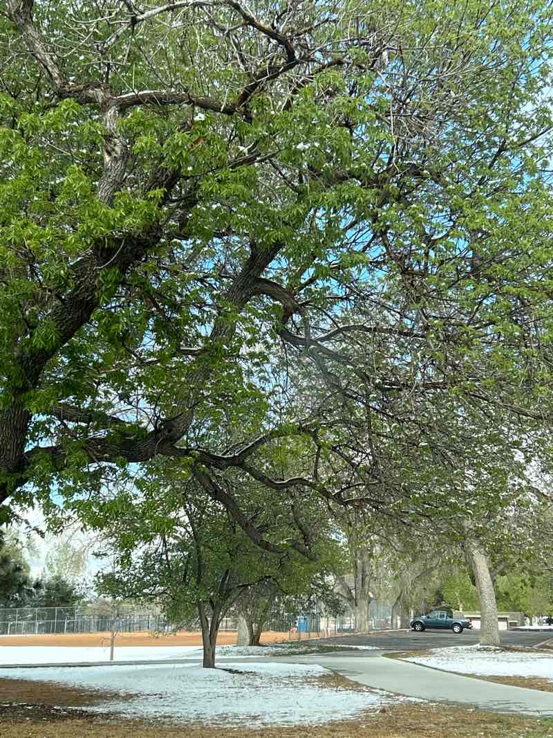 walking near me in Rocky Mountain Lake Park in spring
