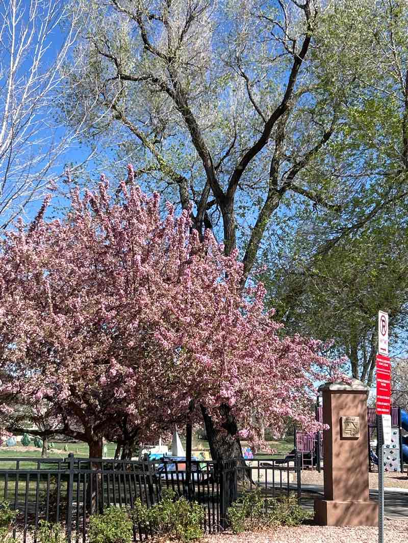 walking near me in Aviation Park in spring