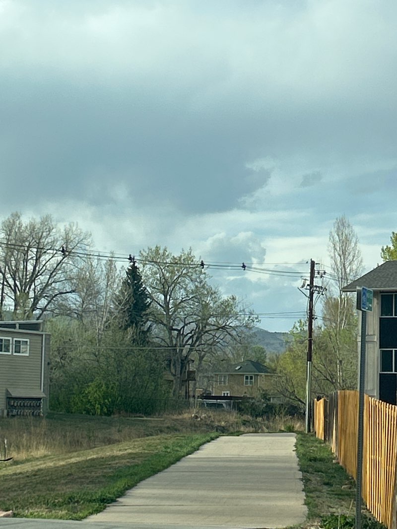 walking near me in Elmer's Two Mile Park in spring