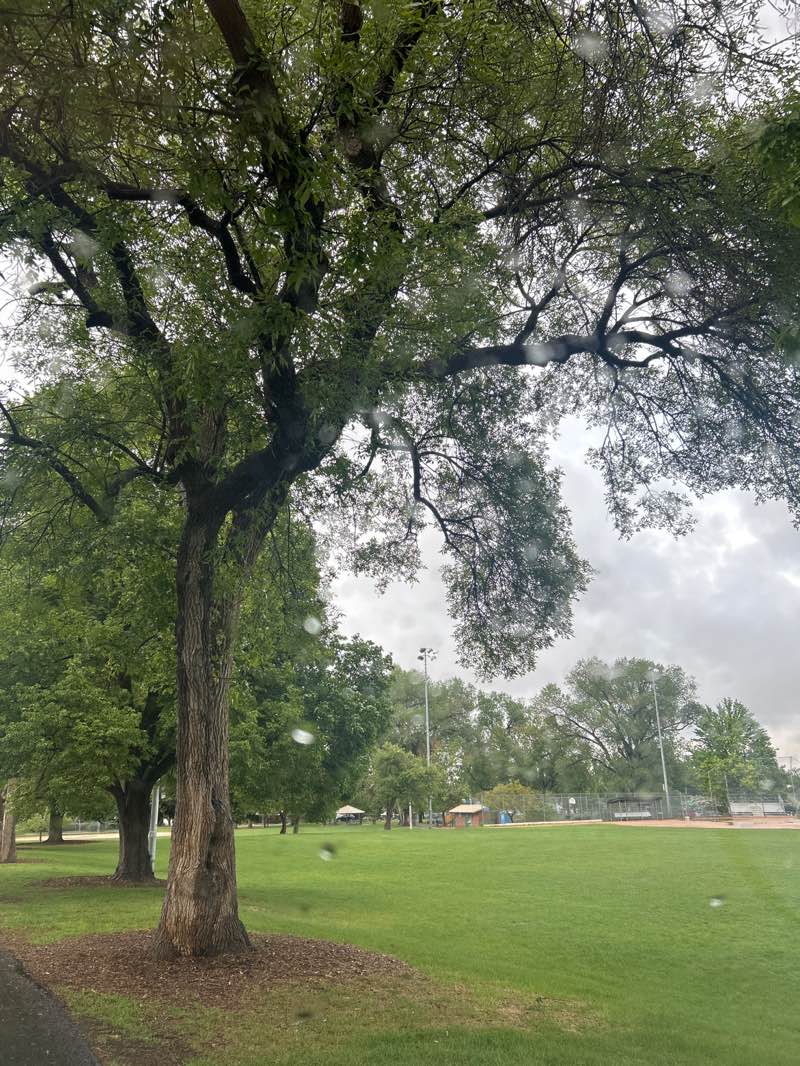 walking near me in Randall Park in summer