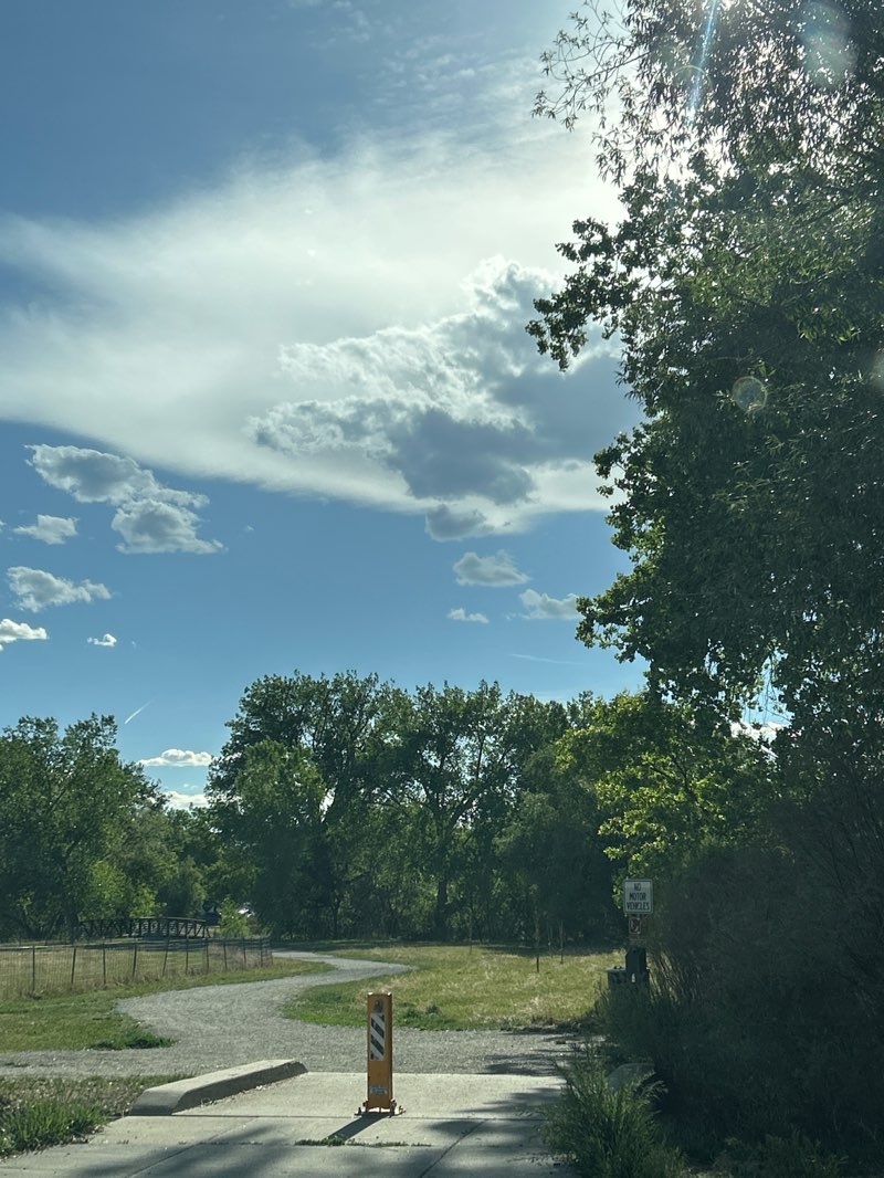 walking near me in Lewis Meadows Park in spring