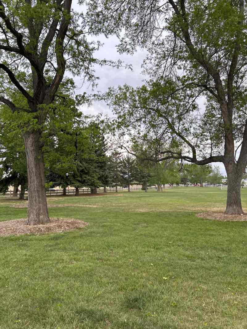 walking near me in Paramount Park in spring
