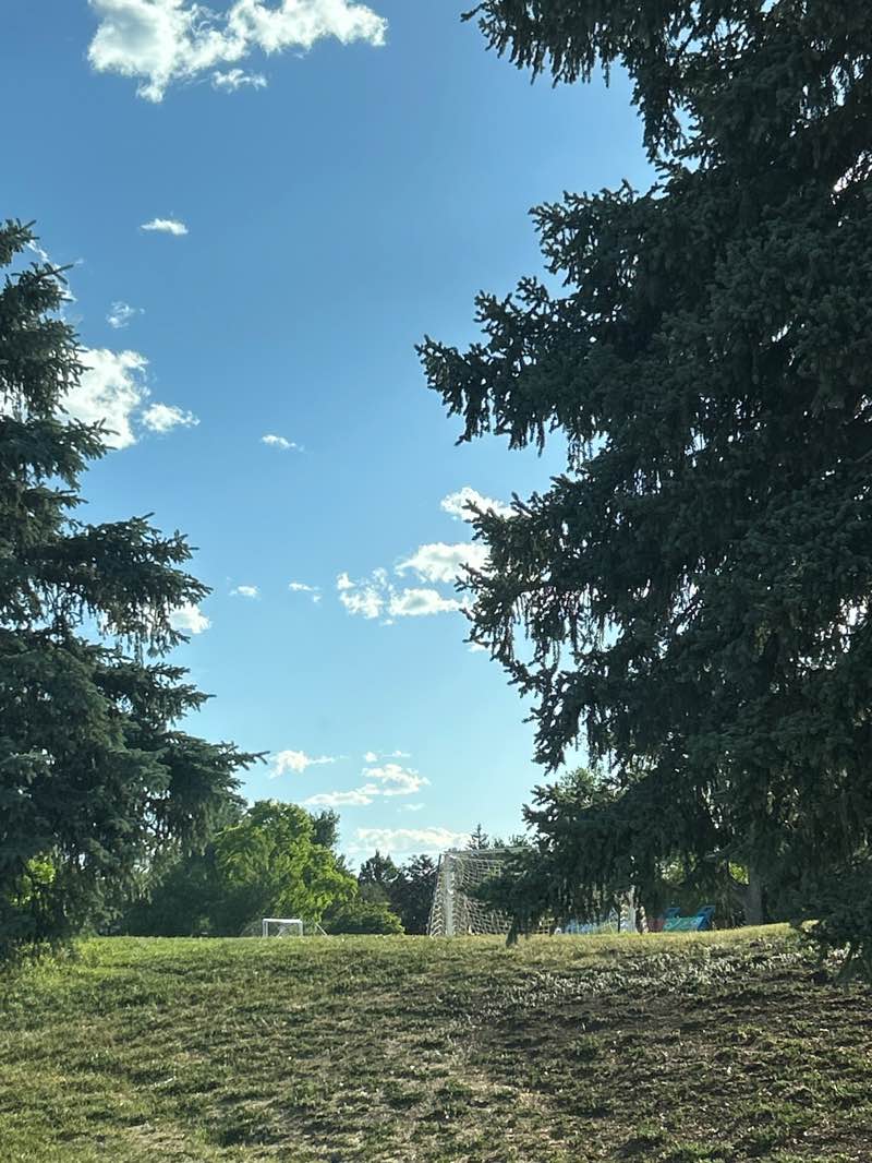 walking near me in Panorama Park in summer