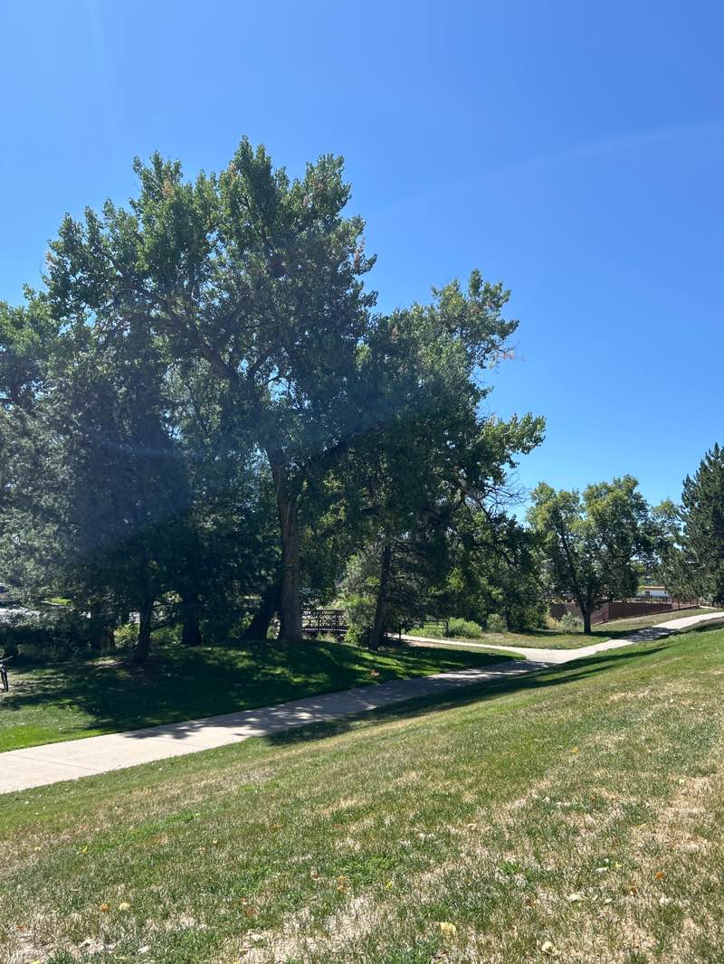 walking near me in Ralston Cove Park in summer
